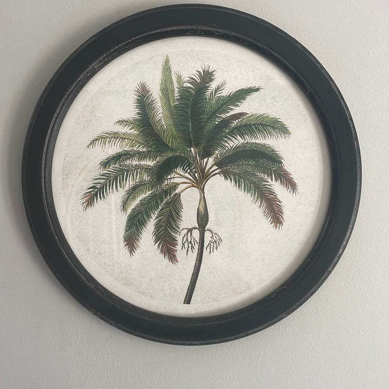 Palm Trees - set of 4