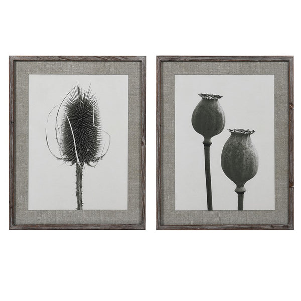 Thistle & Poppy set of two prints